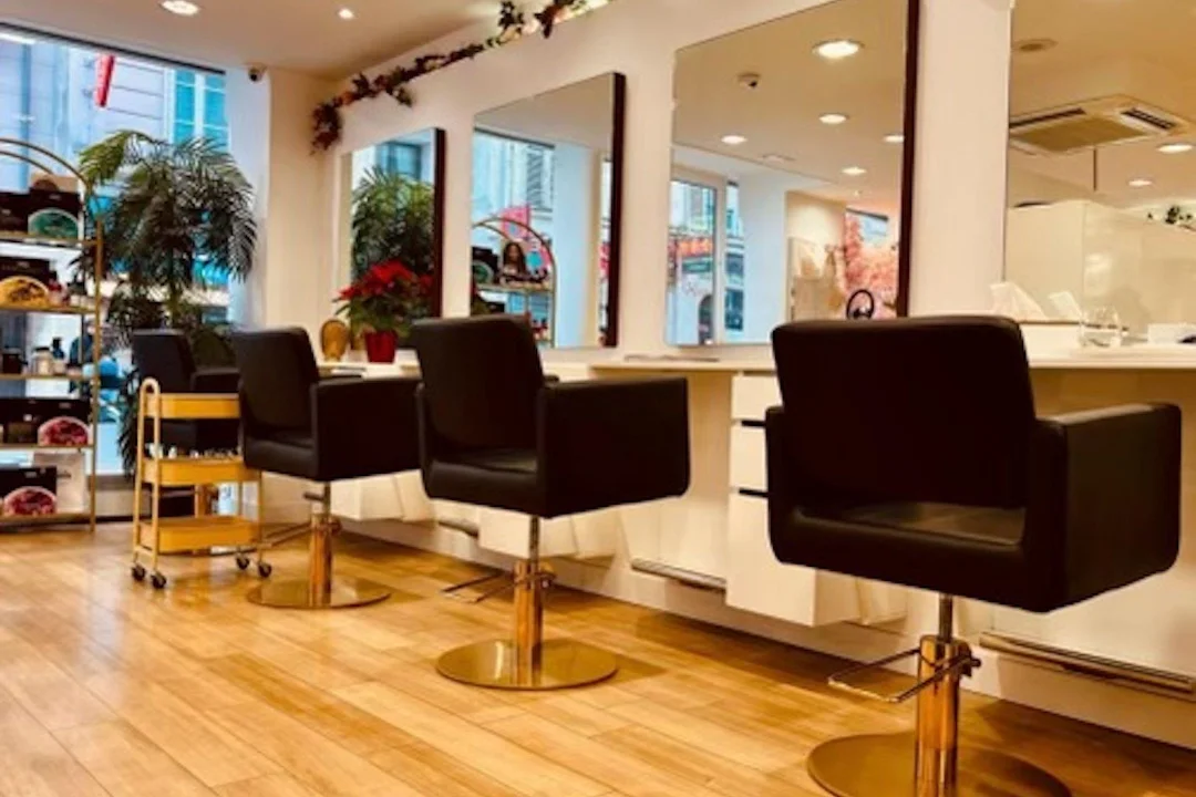 Le marché du cheveu naturel chez les professionnels à Paris : tendances et perspectives